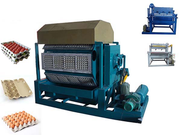 Different Pulp Molding Machines