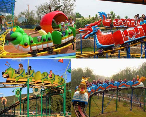 buying mini Sliding Dragon roller coaster