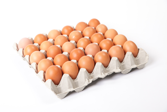 egg trays 