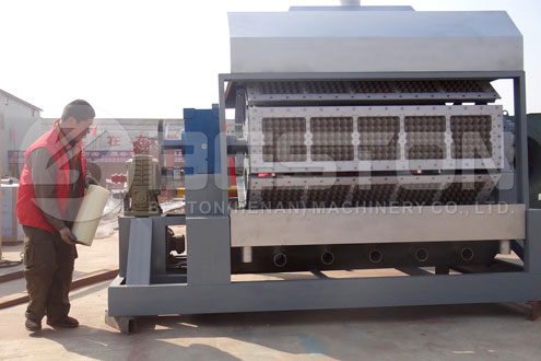 Paper Egg Tray Machine for Sale