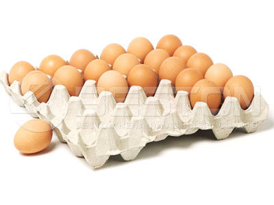 30Holes Standard Egg Tray