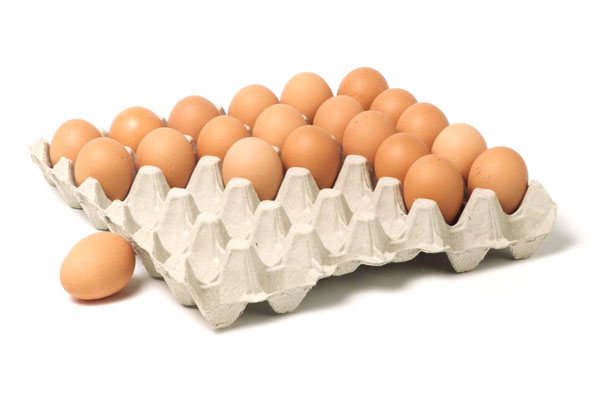 Egg Tray in the Philippines