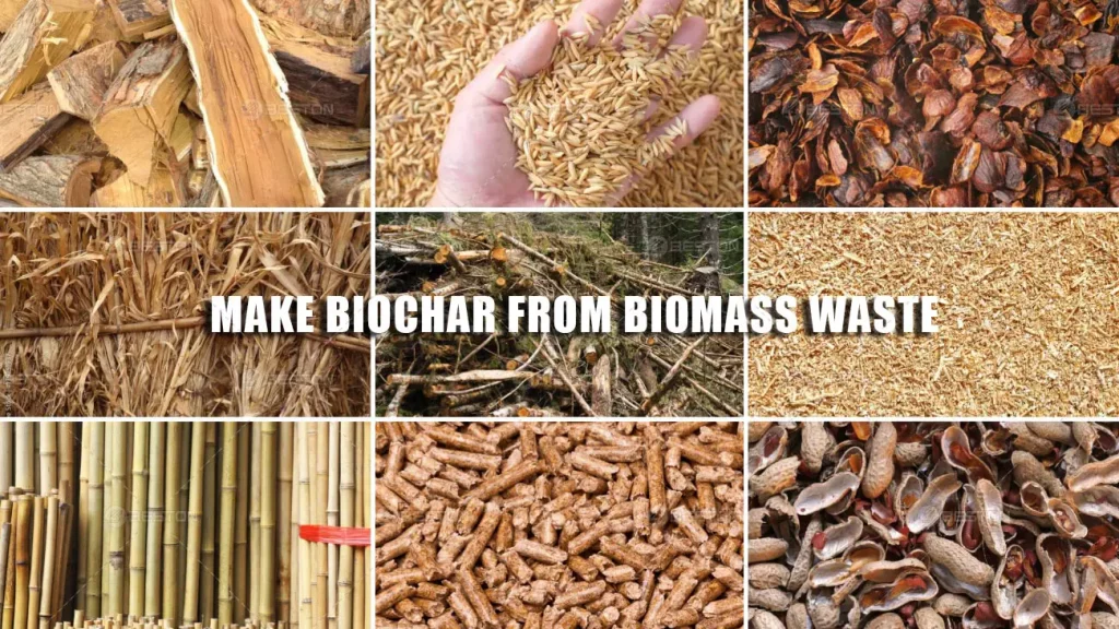 Choose the Suitable Biomass Waste to Make Biochar