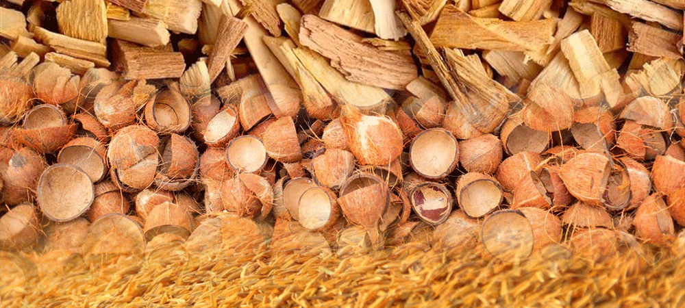 Biomass